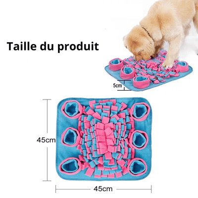 https://cdn.shopify.com/s/files/1/0763/9767/4819/files/Tapis_de_fouille_Bleu_et_Rose_taille.png?v=1749651326