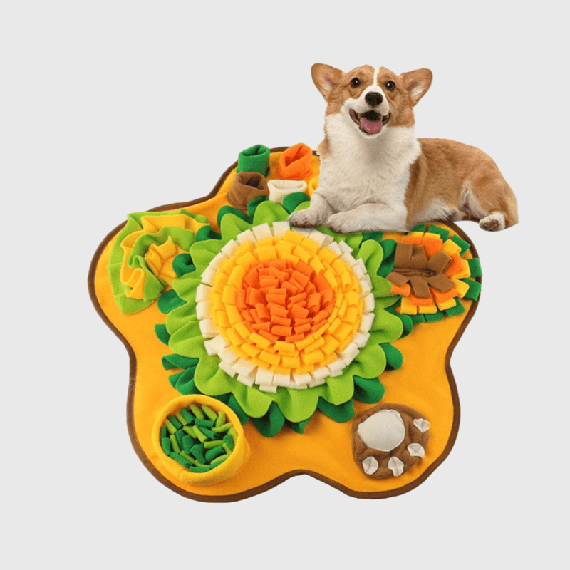 https://cdn.shopify.com/s/files/1/0763/9767/4819/files/Tapis_de_fouille_chien_taille_xl_corgi.png?v=1756138901