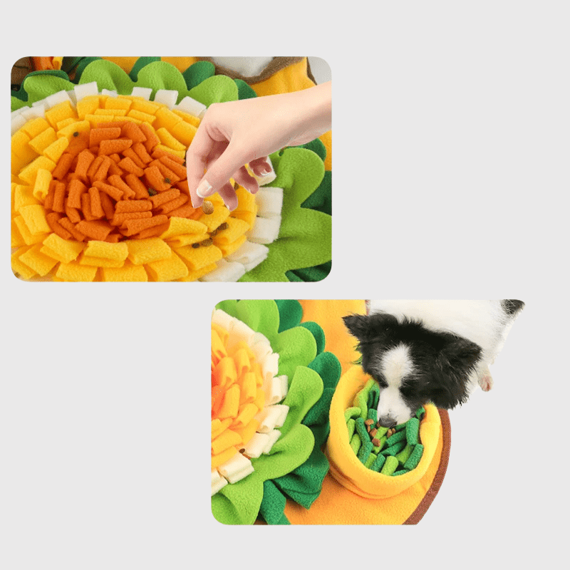 https://cdn.shopify.com/s/files/1/0763/9767/4819/files/Tapis_de_fouille_chien_taille_xl_croquette_exemple.png?v=1756138901