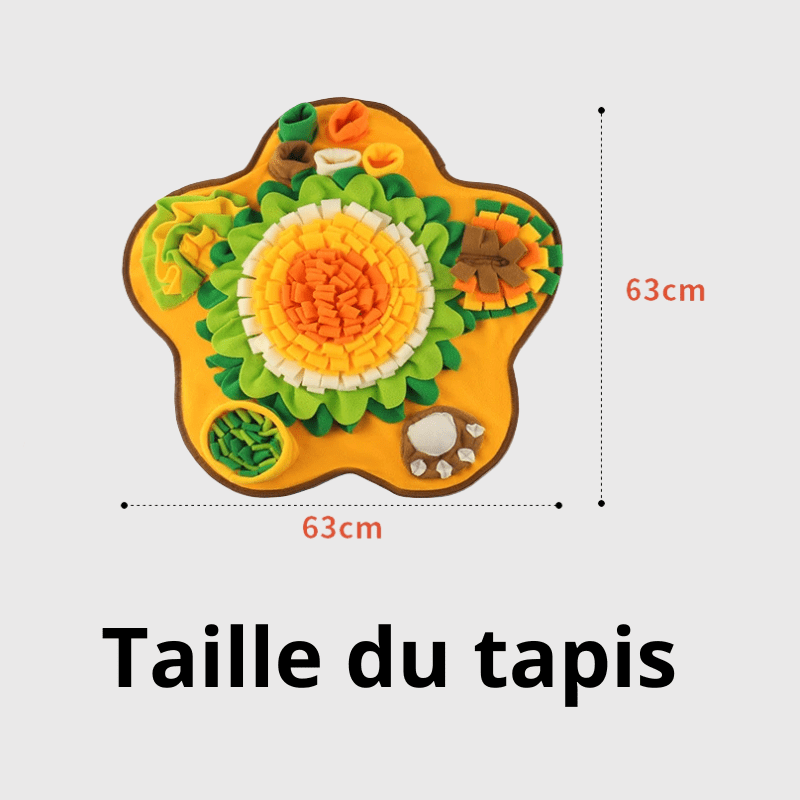 https://cdn.shopify.com/s/files/1/0763/9767/4819/files/Tapis_de_fouille_chien_taille_xl_taille.png?v=1756138901
