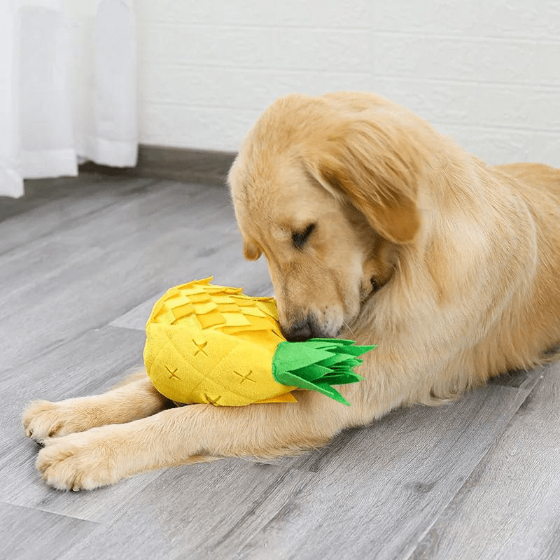 https://cdn.shopify.com/s/files/1/0763/9767/4819/files/Tapis_de_fouille_en_forme_d_Ananas_chiot.png?v=1753721906