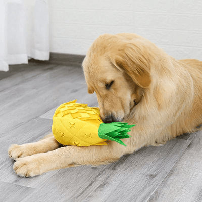 https://cdn.shopify.com/s/files/1/0763/9767/4819/files/Tapis_de_fouille_en_forme_d_Ananas_chiot.png?v=1753721906
