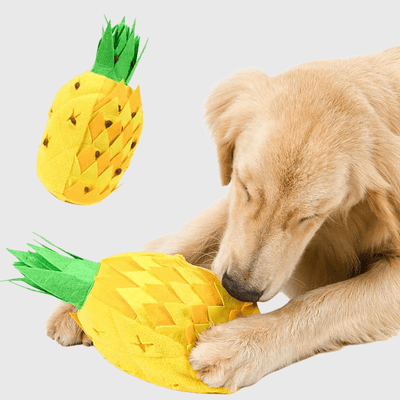 https://cdn.shopify.com/s/files/1/0763/9767/4819/files/Tapis_de_fouille_en_forme_d_Ananas_labrador.png?v=1753721906