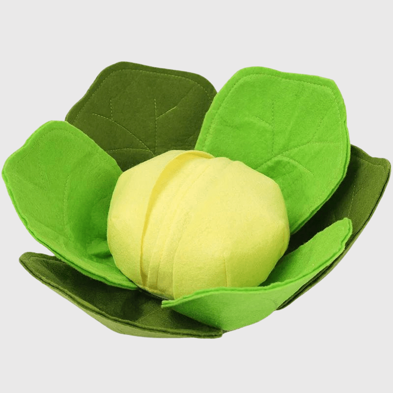 https://cdn.shopify.com/s/files/1/0763/9767/4819/files/Tapis_de_fouille_en_forme_de_Chou-Fleur_cuisine.png?v=1756139215