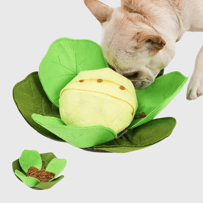 https://cdn.shopify.com/s/files/1/0763/9767/4819/files/Tapis_de_fouille_en_forme_de_Chou-Fleur_bouledogue.png?v=1756139215