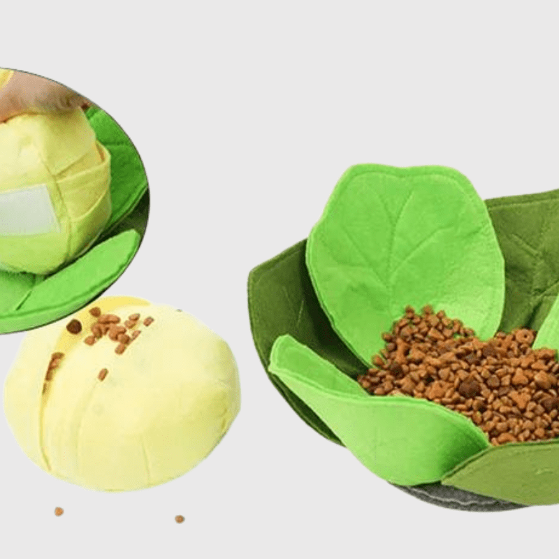 https://cdn.shopify.com/s/files/1/0763/9767/4819/files/Tapis_de_fouille_en_forme_de_Chou-Fleur_croquette.png?v=1756139215