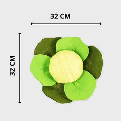 https://cdn.shopify.com/s/files/1/0763/9767/4819/files/Tapis_de_fouille_en_forme_de_Chou-Fleur_taille.png?v=1756139215