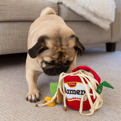 https://cdn.shopify.com/s/files/1/0763/9767/4819/files/Tapis_de_fouille_en_forme_de_Ramen_boueldogue.png?v=1756140036