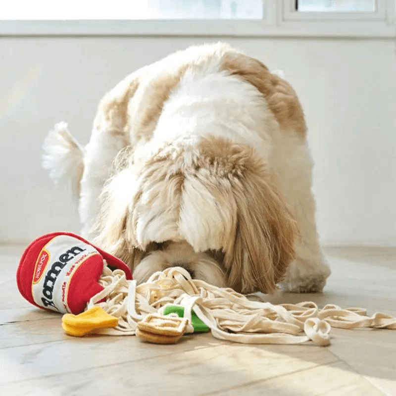 https://cdn.shopify.com/s/files/1/0763/9767/4819/files/Tapis_de_fouille_en_forme_de_Ramen_chiot.png?v=1756140036