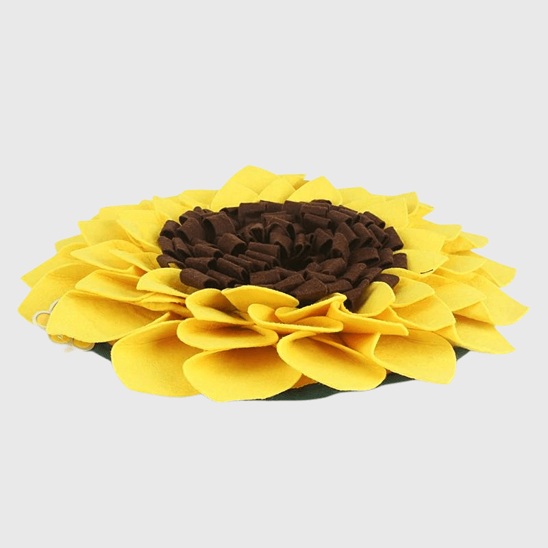 https://cdn.shopify.com/s/files/1/0763/9767/4819/files/Tapis_de_fouille_en_forme_de_Tournesol_chiens.png?v=1756140554