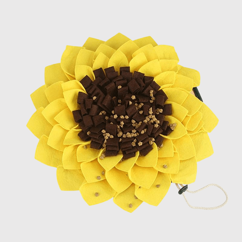 https://cdn.shopify.com/s/files/1/0763/9767/4819/files/Tapis_de_fouille_en_forme_de_Tournesol.png?v=1756140554