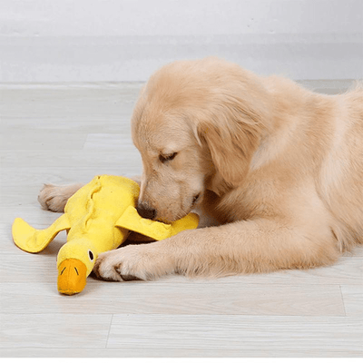 https://cdn.shopify.com/s/files/1/0763/9767/4819/files/Tapis_de_fouille_en_forme_de_anard.png?v=1753721919