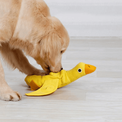 https://cdn.shopify.com/s/files/1/0763/9767/4819/files/Tapis_de_fouille_en_forme_de_anard_ami-canin.png?v=1753721919