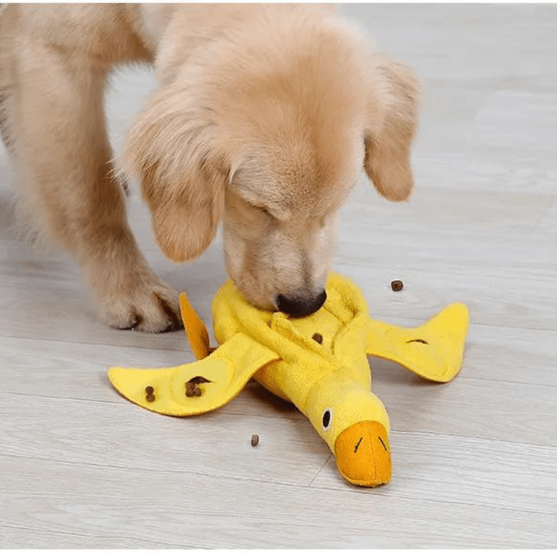 https://cdn.shopify.com/s/files/1/0763/9767/4819/files/Tapis_de_fouille_en_forme_de_anard_chiot.png?v=1753721919