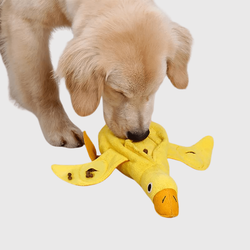 https://cdn.shopify.com/s/files/1/0763/9767/4819/files/Tapis_de_fouille_en_forme_de_anard_chiot.png?v=1753721919