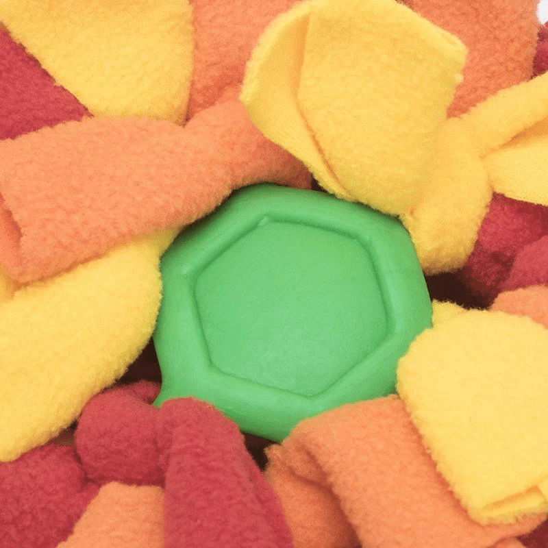 https://cdn.shopify.com/s/files/1/0763/9767/4819/files/Tapis_de_fouille_en_forme_de_boule_arriere.png?v=1756139137