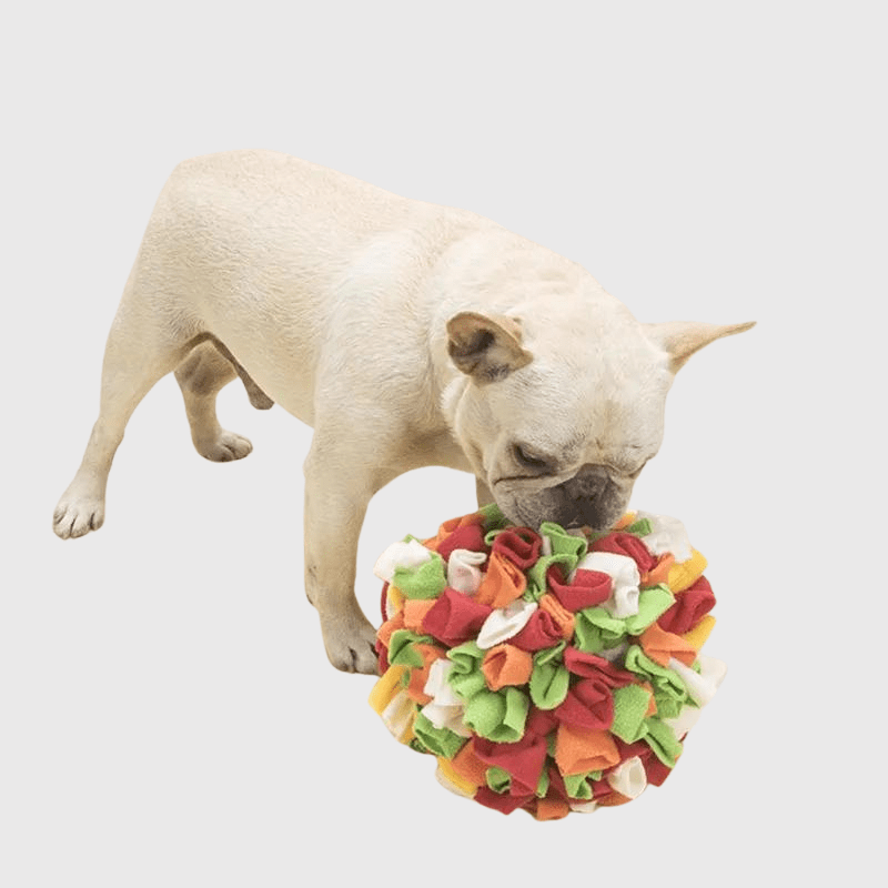 https://cdn.shopify.com/s/files/1/0763/9767/4819/files/Tapis_de_fouille_en_forme_de_boule_bouledogue.png?v=1756139137