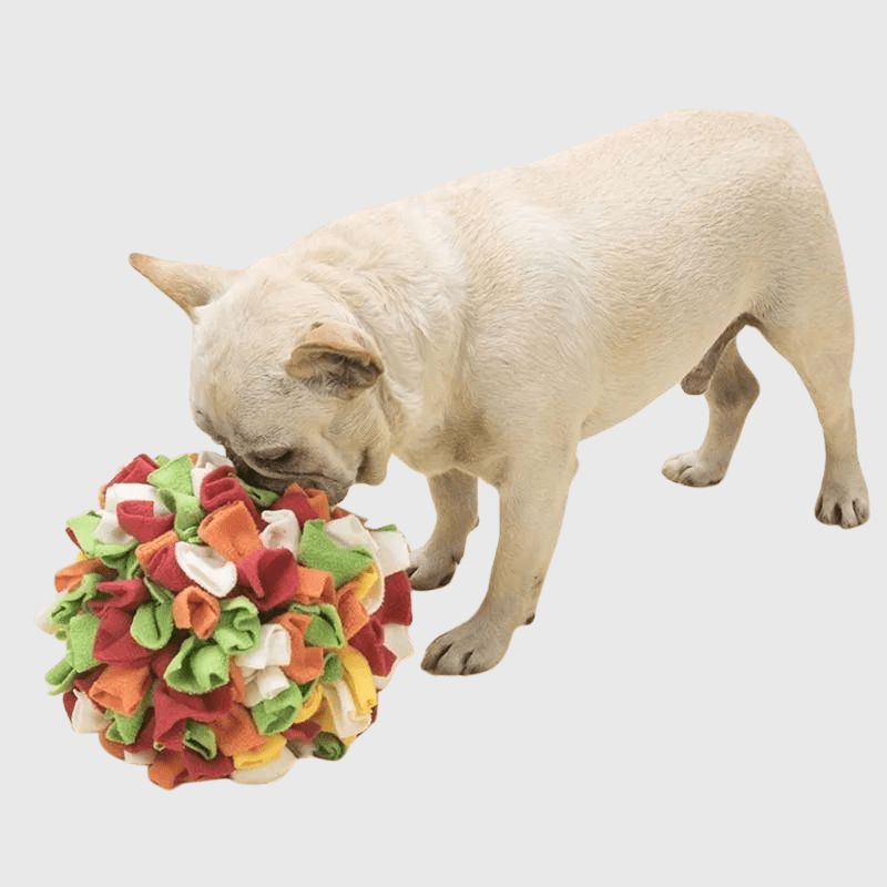 https://cdn.shopify.com/s/files/1/0763/9767/4819/files/Tapis_de_fouille_en_forme_de_boule_fidele_compagnon_canin.png?v=1756139137