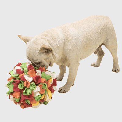 https://cdn.shopify.com/s/files/1/0763/9767/4819/files/Tapis_de_fouille_en_forme_de_boule_fidele_compagnon_canin.png?v=1756139137