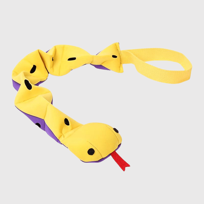 https://cdn.shopify.com/s/files/1/0763/9767/4819/files/Tapis_de_fouille_en_forme_de_serpent_labrador.png?v=1756140326