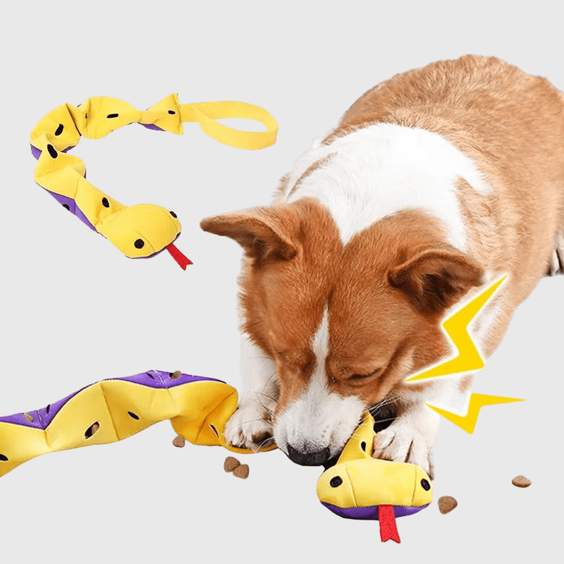 https://cdn.shopify.com/s/files/1/0763/9767/4819/files/Tapis_de_fouille_en_forme_de_serpent_corgi.png?v=1756140326