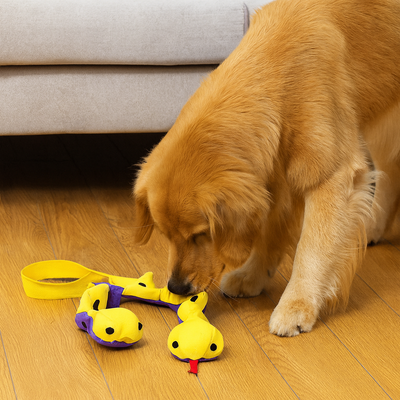 https://cdn.shopify.com/s/files/1/0763/9767/4819/files/Tapis_de_fouille_en_forme_de_serpent_labrador.png?v=1756140326