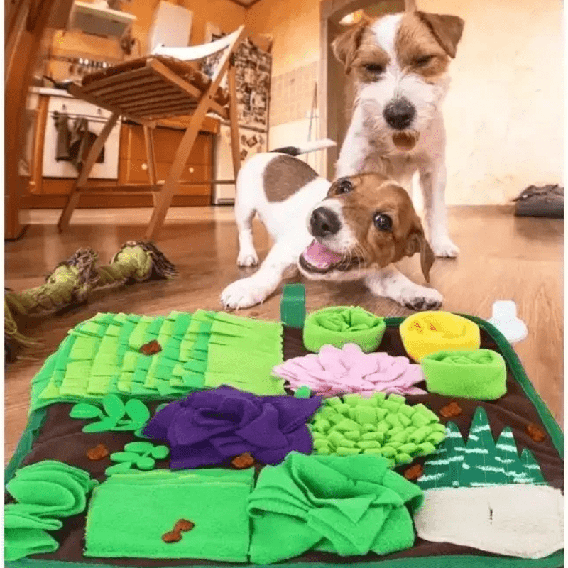 https://cdn.shopify.com/s/files/1/0763/9767/4819/files/Tapis_de_fouille_gros_chien_jack_russel.png?v=1753367259