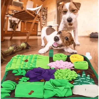 https://cdn.shopify.com/s/files/1/0763/9767/4819/files/Tapis_de_fouille_gros_chien_jack_russel.png?v=1753367259