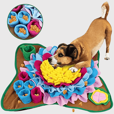 https://cdn.shopify.com/s/files/1/0763/9767/4819/files/Tapis_de_fouille_petit_chien_chiot.png?v=1756141485