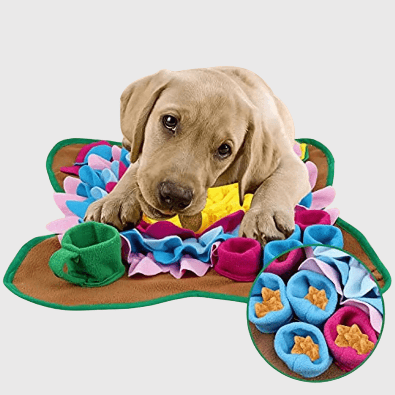 https://cdn.shopify.com/s/files/1/0763/9767/4819/files/Tapis_de_fouille_petit_chien.png?v=1756141485