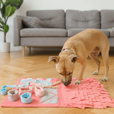 https://cdn.shopify.com/s/files/1/0763/9767/4819/files/Tapis_de_fouille_pour_chien_adulte_chiot.png?v=1756141365