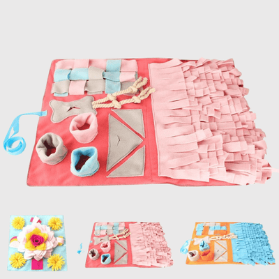 https://cdn.shopify.com/s/files/1/0763/9767/4819/files/Tapis_de_fouille_pour_chien_adulte_ensemble.png?v=1756141365