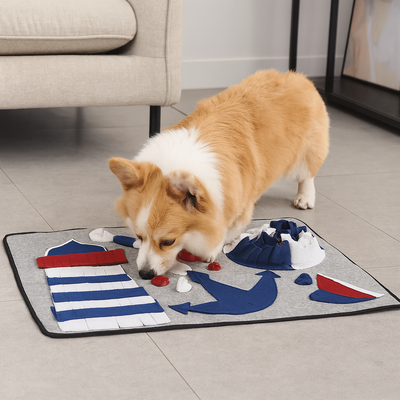 https://cdn.shopify.com/s/files/1/0763/9767/4819/files/Tapis_de_fouille_pour_chien_moyen.png?v=1756141984