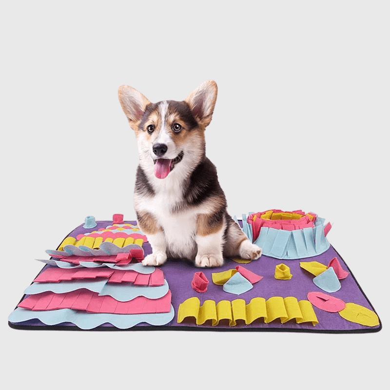 https://cdn.shopify.com/s/files/1/0763/9767/4819/files/Tapis_de_fouille_pour_chien_moyen_corgi.png?v=1756141984