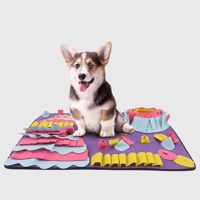 https://cdn.shopify.com/s/files/1/0763/9767/4819/files/Tapis_de_fouille_pour_chien_moyen_corgi.png?v=1756141984