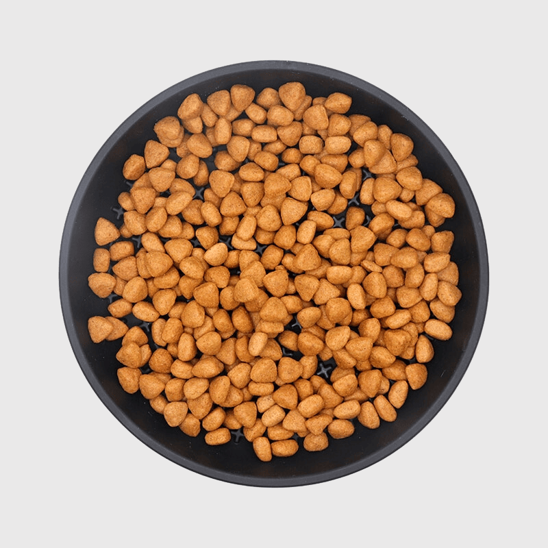 https://cdn.shopify.com/s/files/1/0763/9767/4819/files/Tapis_de_lechage_chien_rond_noir_avec_croquette_dedans.png?v=1693047645