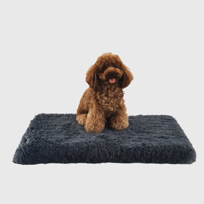 https://cdn.shopify.com/s/files/1/0763/9767/4819/files/Tapis_pour_chien_dehoussable.png?v=1747838794