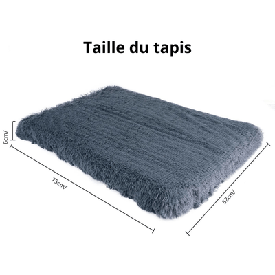 https://cdn.shopify.com/s/files/1/0763/9767/4819/files/Tapis_pour_chien_dehoussable_taille.png?v=1747838794