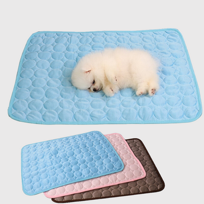 https://cdn.shopify.com/s/files/1/0763/9767/4819/files/Tapis_pour_chien_lavable_chiot.png?v=1744812104