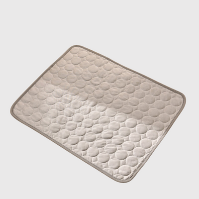 https://cdn.shopify.com/s/files/1/0763/9767/4819/files/Tapis_pour_chien_lavable_marron_clair.png?v=1744812104