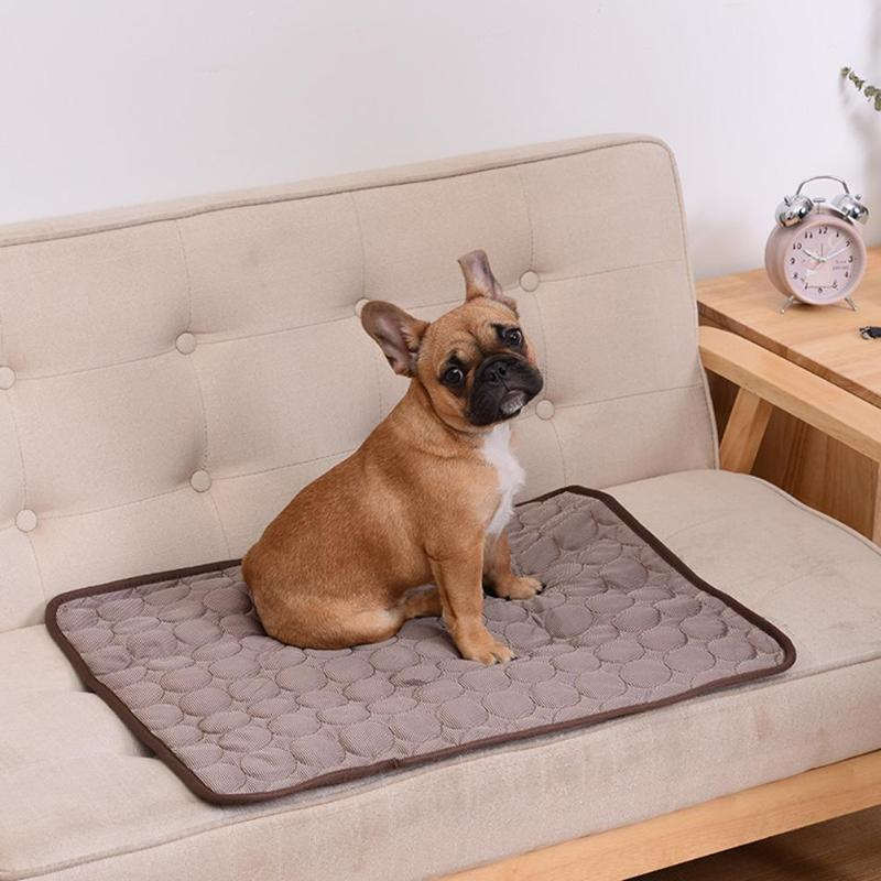 https://cdn.shopify.com/s/files/1/0763/9767/4819/files/Tapis_rafraichissant_pour_chien_non_toxique_modele_avec_un_chien_dessus.png?v=1746196841
