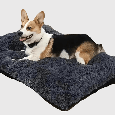 https://cdn.shopify.com/s/files/1/0763/9767/4819/files/Tapis_xxl_pour_chien_corgi.png?v=1747840058