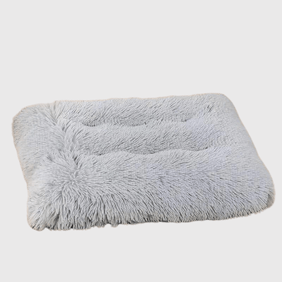 https://cdn.shopify.com/s/files/1/0763/9767/4819/files/Tapis_xxl_pour_chien_gris.png?v=1747840058