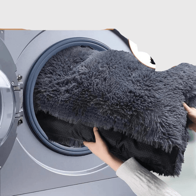 https://cdn.shopify.com/s/files/1/0763/9767/4819/files/Tapis_xxl_pour_chien_lavable.png?v=1747840058