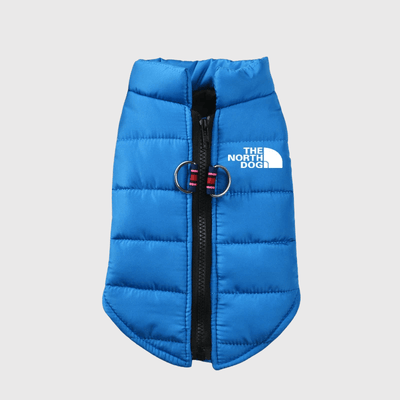 https://cdn.shopify.com/s/files/1/0763/9767/4819/files/The_Dog_Face_bleu.png?v=1756913574