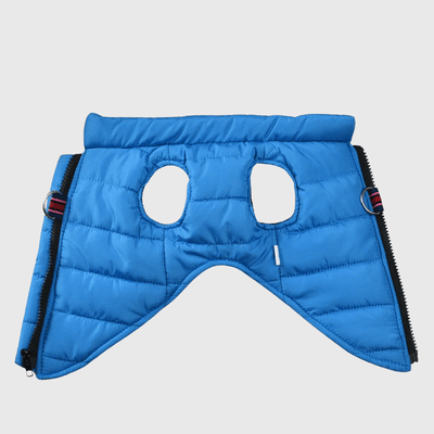 https://cdn.shopify.com/s/files/1/0763/9767/4819/files/The_Dog_Face_details.png?v=1756913574