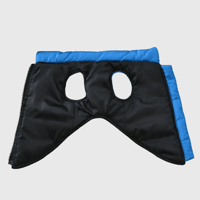 https://cdn.shopify.com/s/files/1/0763/9767/4819/files/The_Dog_Face_interieur.png?v=1756913574