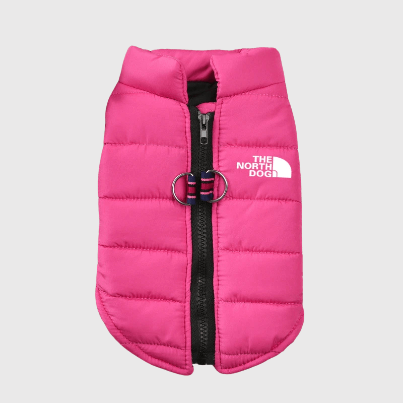 https://cdn.shopify.com/s/files/1/0763/9767/4819/files/The_Dog_Face_rose_c0e16c5d-82b5-4662-84e4-706ed915dfb9.png?v=1742231421