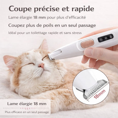 https://cdn.shopify.com/s/files/1/0489/2898/1148/files/Toilettagerapideaveclame18mm.jpg?v=1776505283