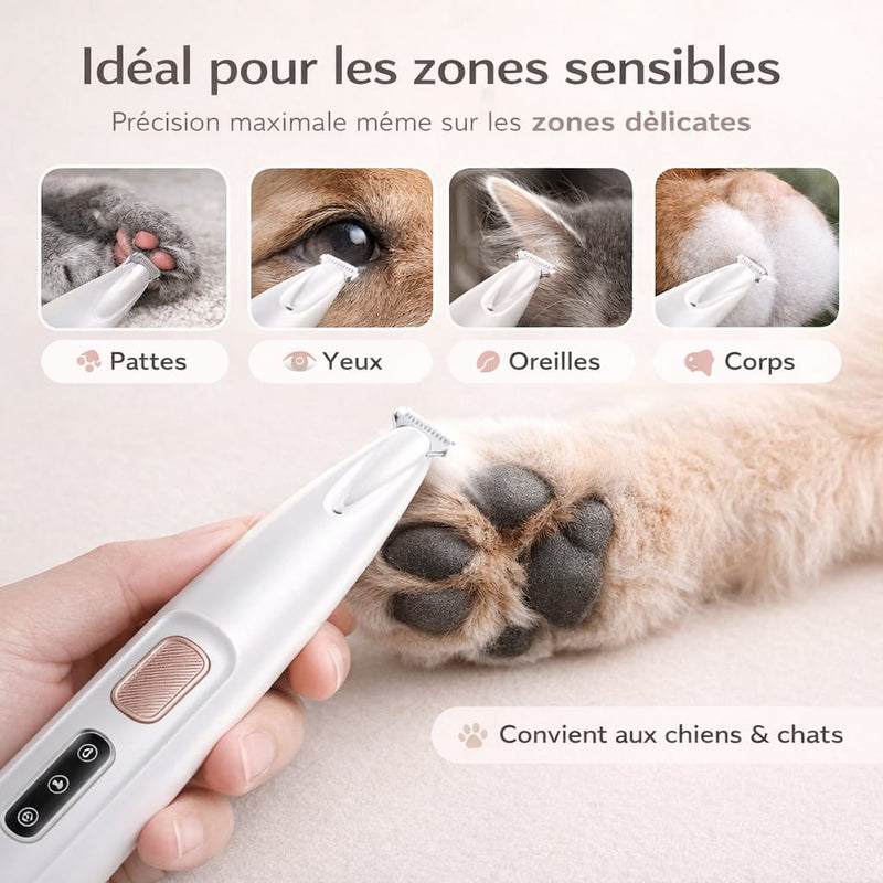 https://cdn.shopify.com/s/files/1/0489/2898/1148/files/Offretondeuse.png?v=1776505283
